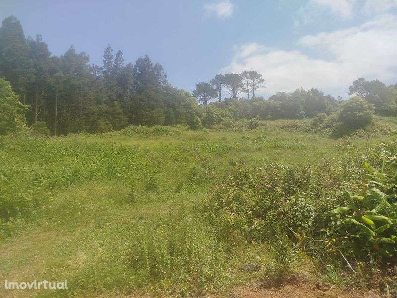 Terreno Pinheira - Rua da Bragada - Santo António - Grande imagem: 3/12