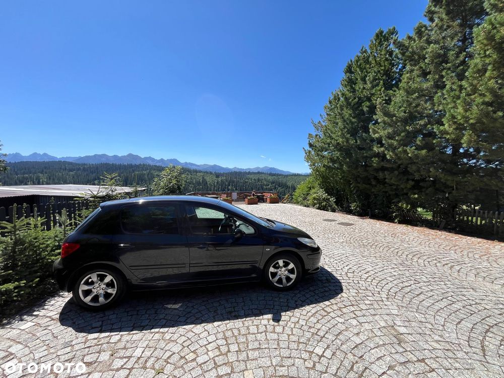 Peugeot 307