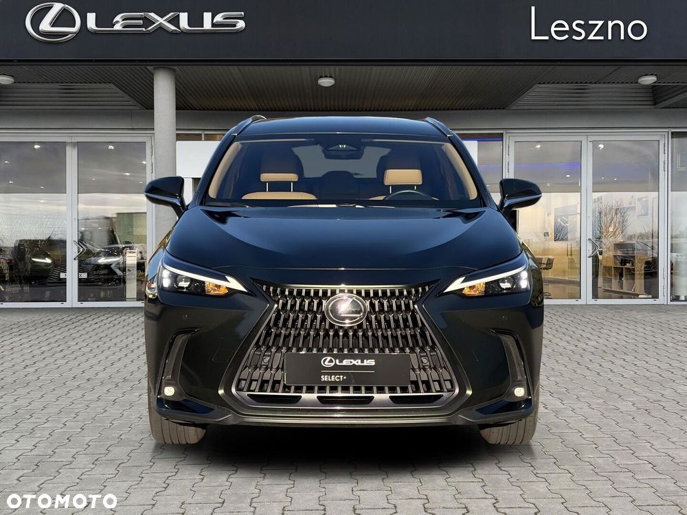 Lexus NX 350h Prestige 2WD - 7