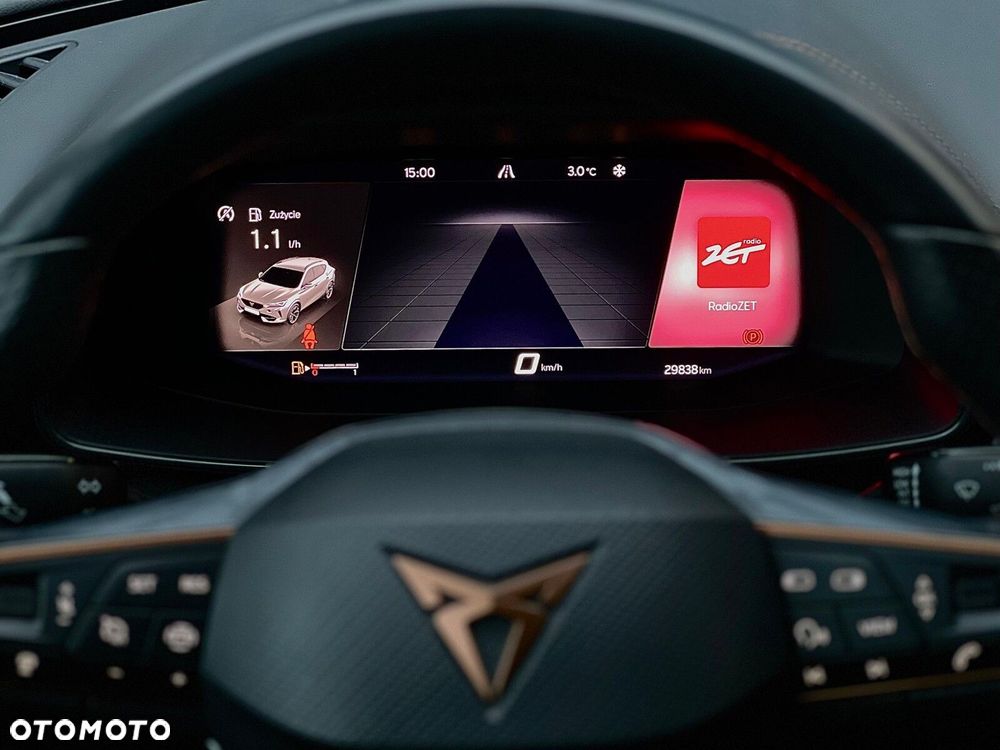 Cupra Formentor - 19