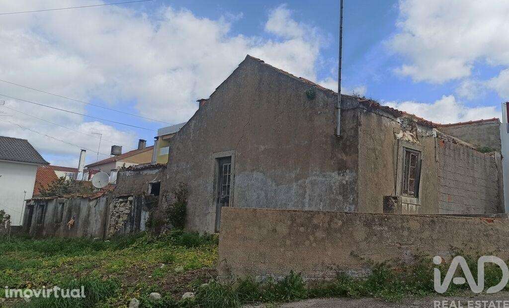 Moradia térrea T2 em Torres Novas (São Pedro), Lapas e Ribeira Branca - Grande imagem: 3/34