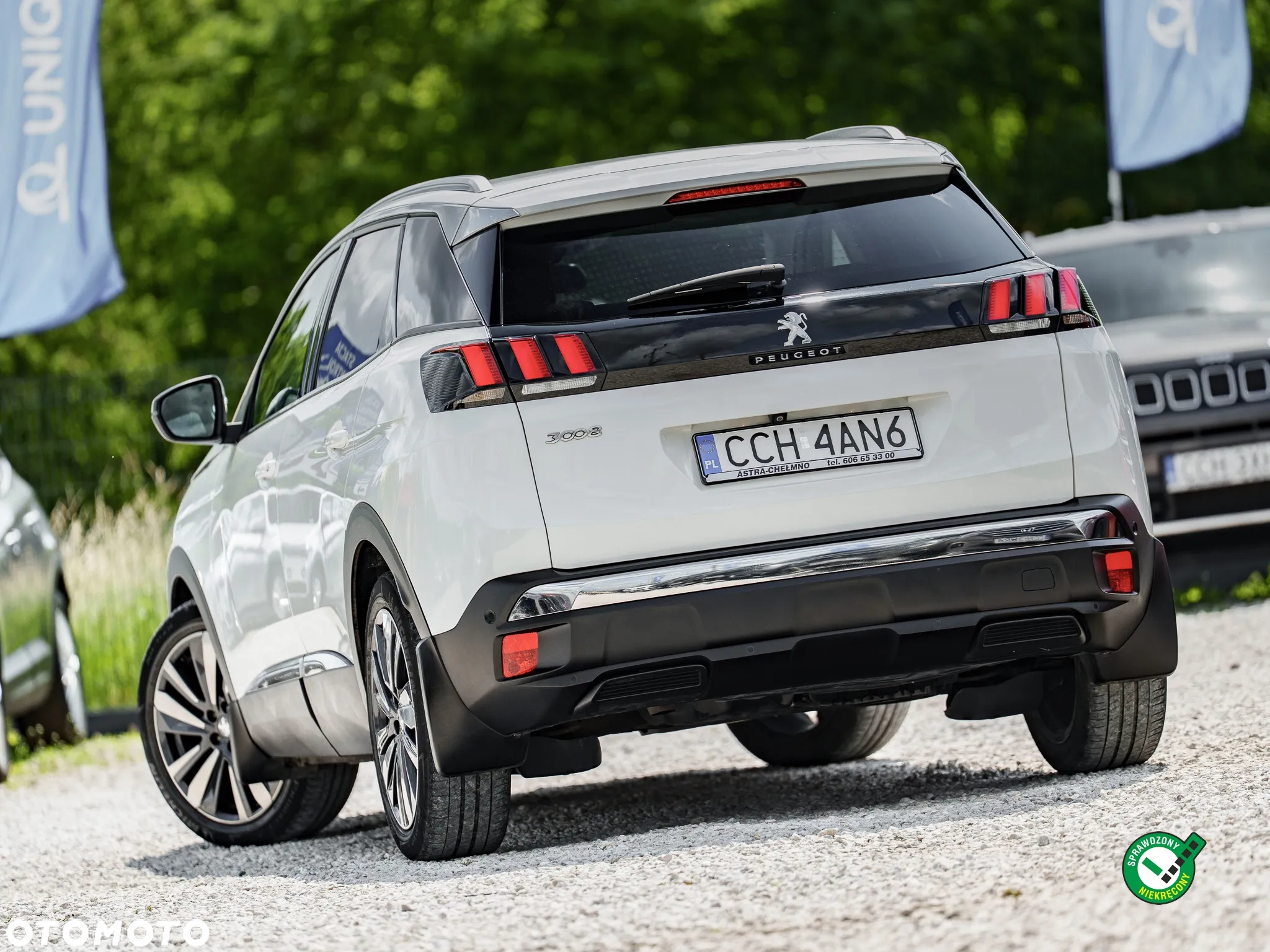 Peugeot 3008 1.5 BlueHDi Allure Pack S&S - 4