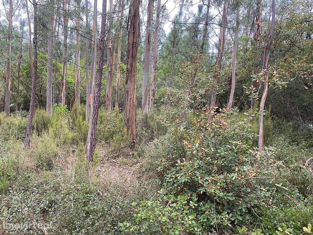 Terreno  para venda - Grande imagem: 2/3