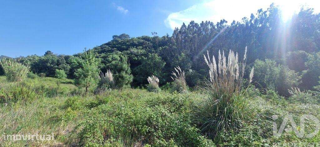 Terreno Agrícola em Azueira e Sobral da Abelheira - Grande imagem: 3/23