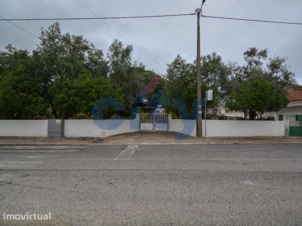 Terreno Urbano Plano em Sinais - Oportunidade Única para Construir ... - Grande imagem: 2/20