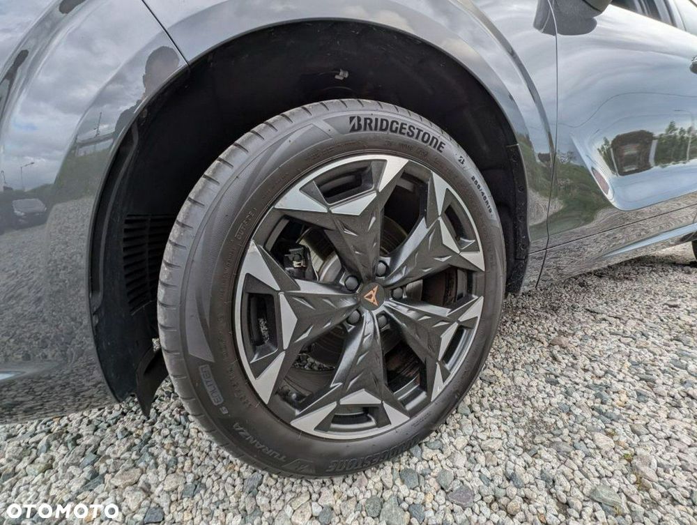 Cupra Terramar - 14