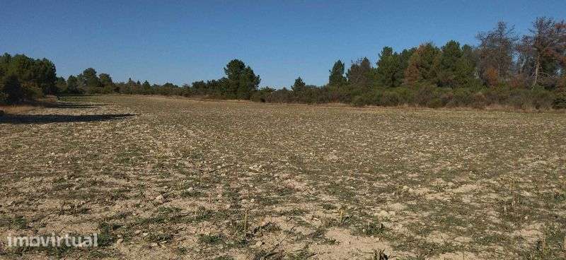 Terreno agricola - Grande imagem: 5/8
