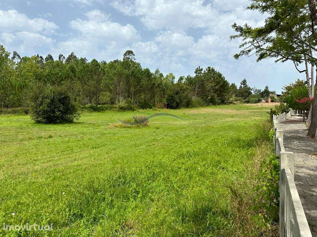 Terreno - Segodim - Grande imagem: 4/21