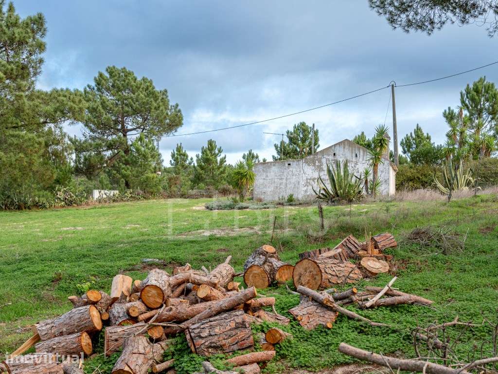Monte com 4000m2 de lote e ruína, em Melides - Grande imagem: 5/23