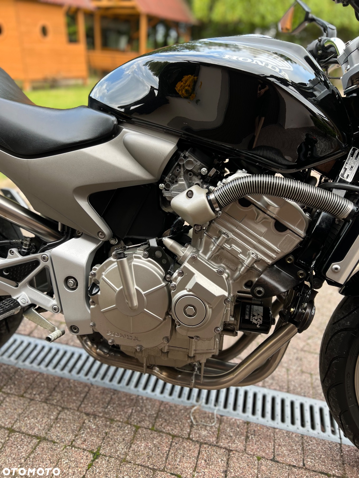 Honda Hornet - 19
