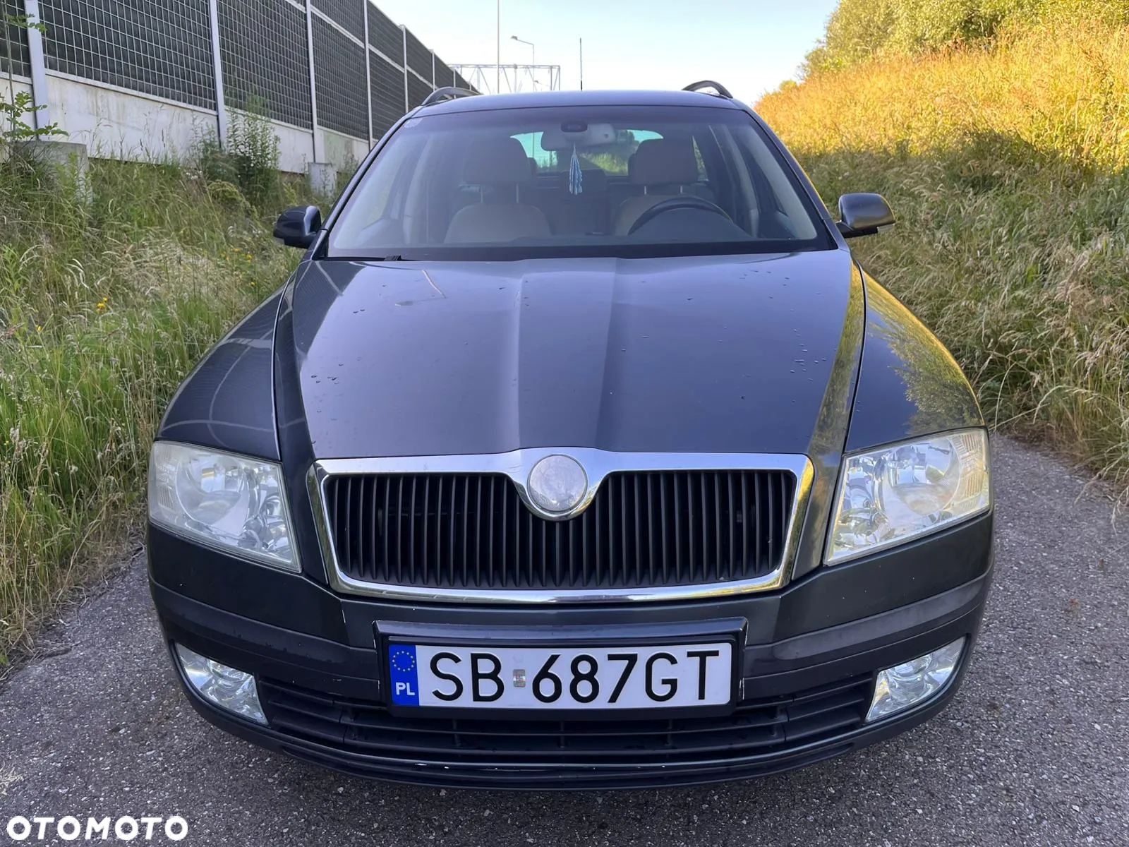 Skoda Octavia Combi 1.9 TDI DSG Elegance - 5