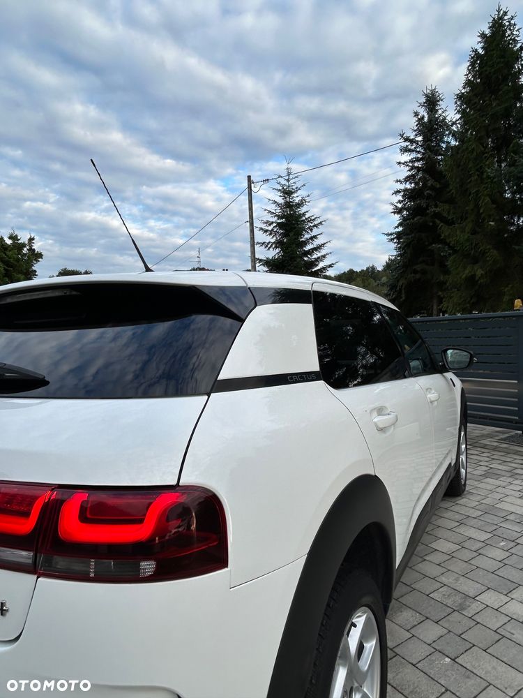 Citroën C4 Cactus - 11