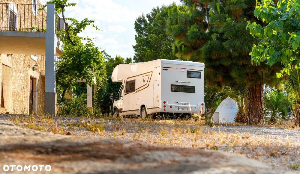 Benimar Sport 324 UP (MY 2026) - 4