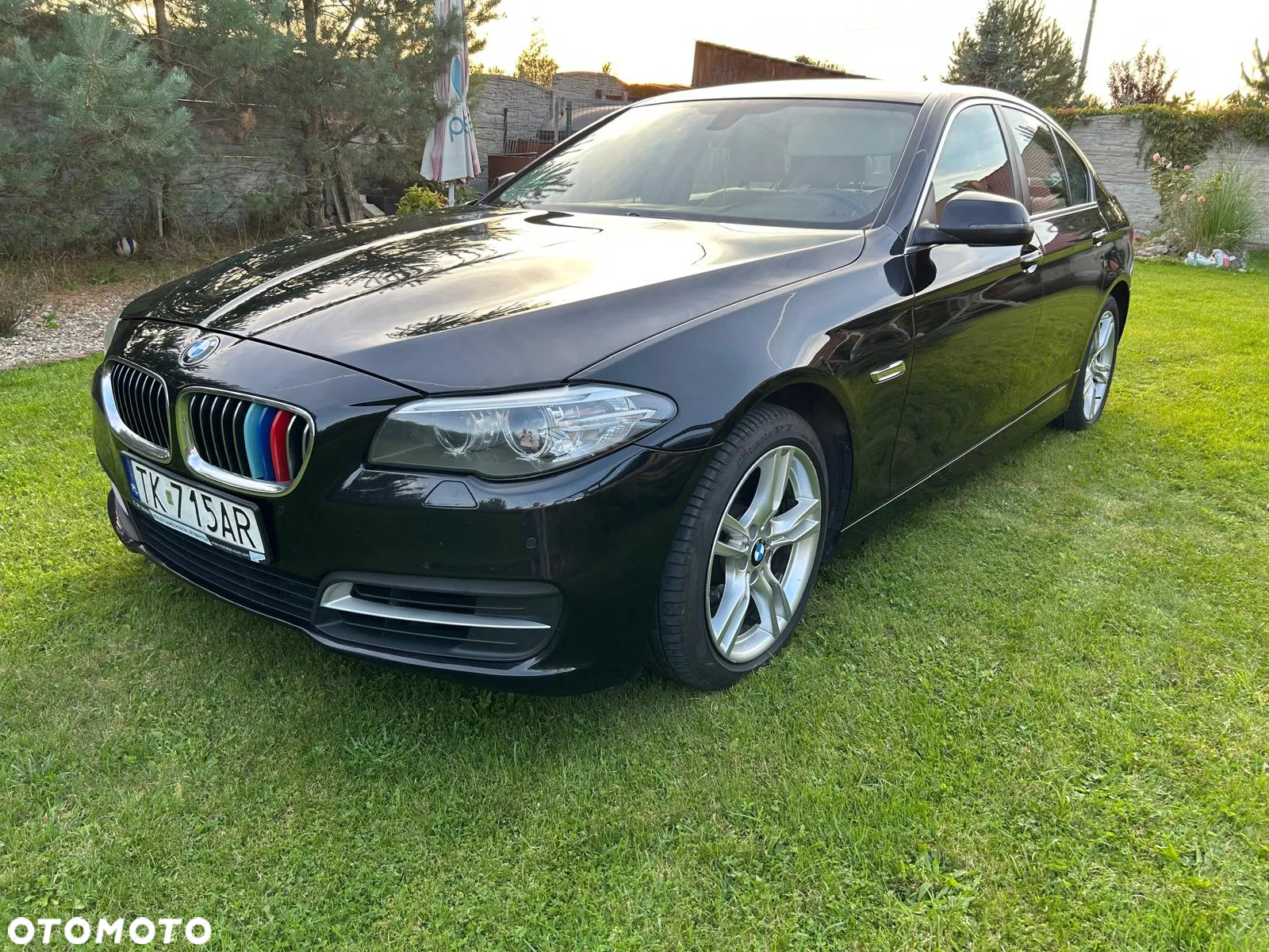 BMW Seria 5 518d Luxury Line - 4