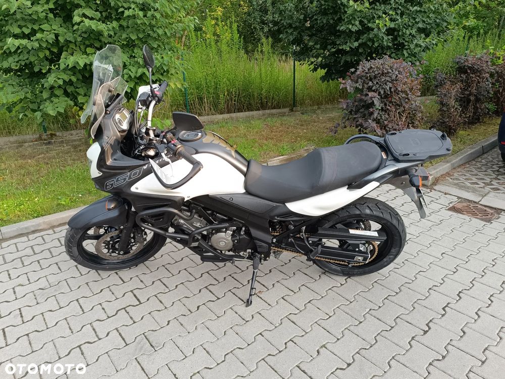 Suzuki DL - 5