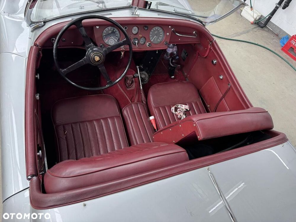 Jaguar Inny - 10