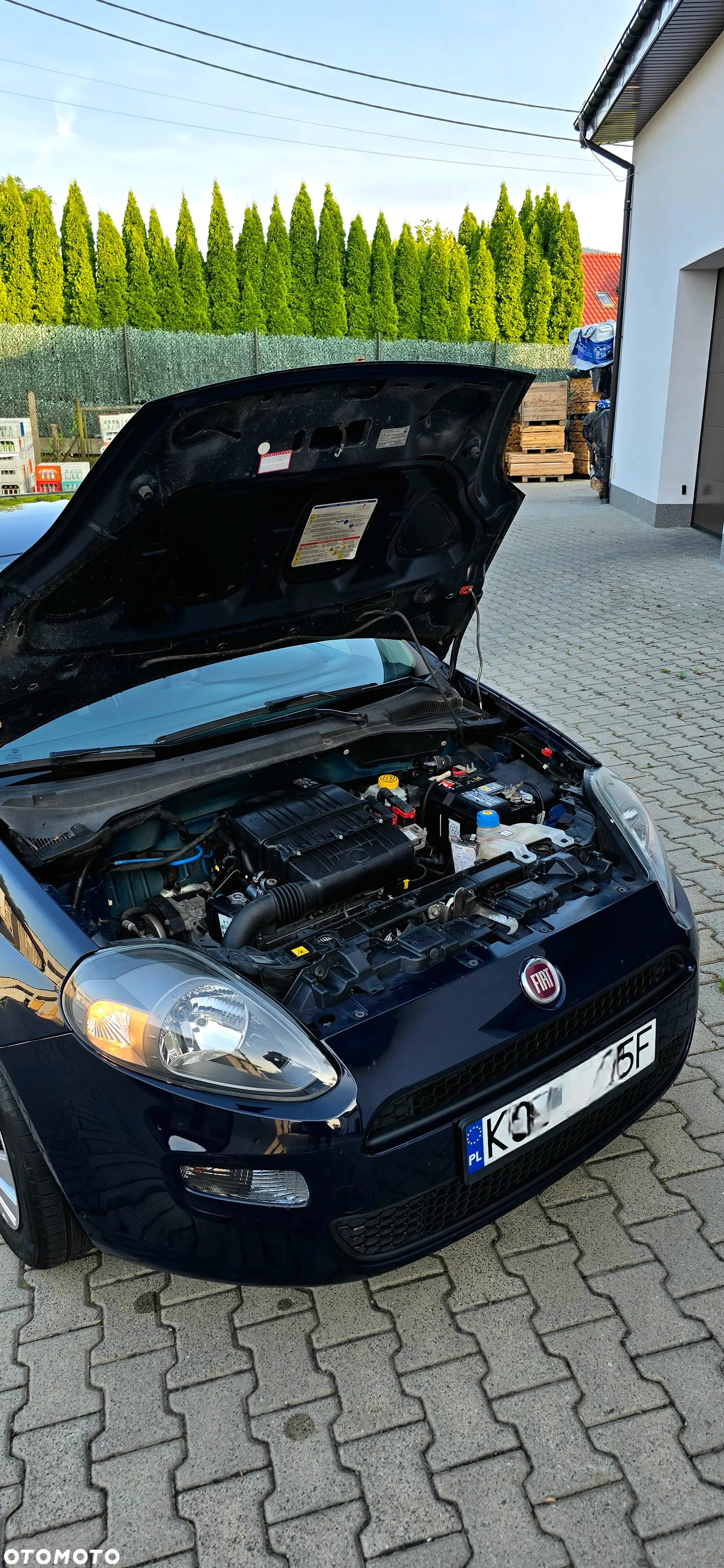 Fiat Punto Evo 1.2 8V Active - 8