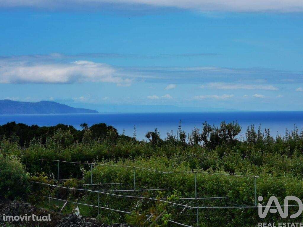 Casa tradicional T2 em Piedade de 136,00 m2 - Grande imagem: 5/23