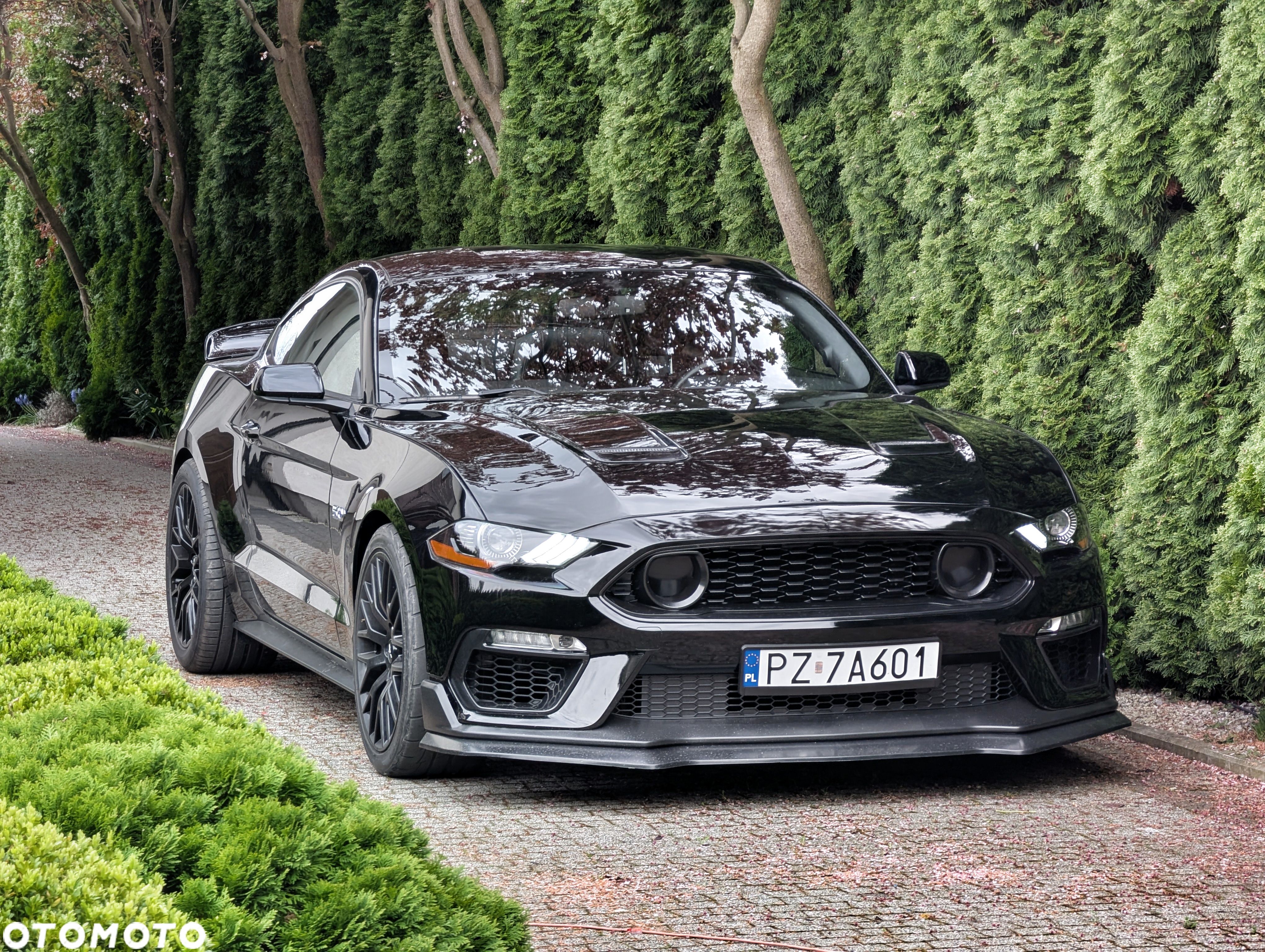 Ford Mustang 5.0 V8 GT - 1