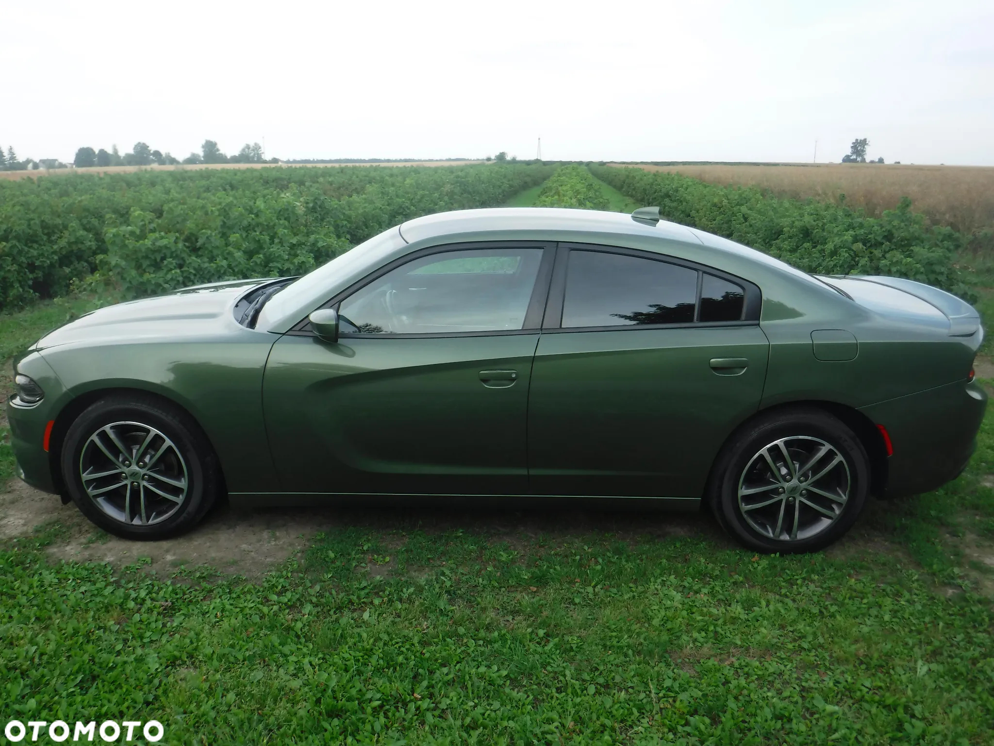 Dodge Charger 3.6 GT - 3
