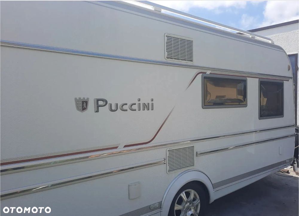 Tabbert Puccini - 4