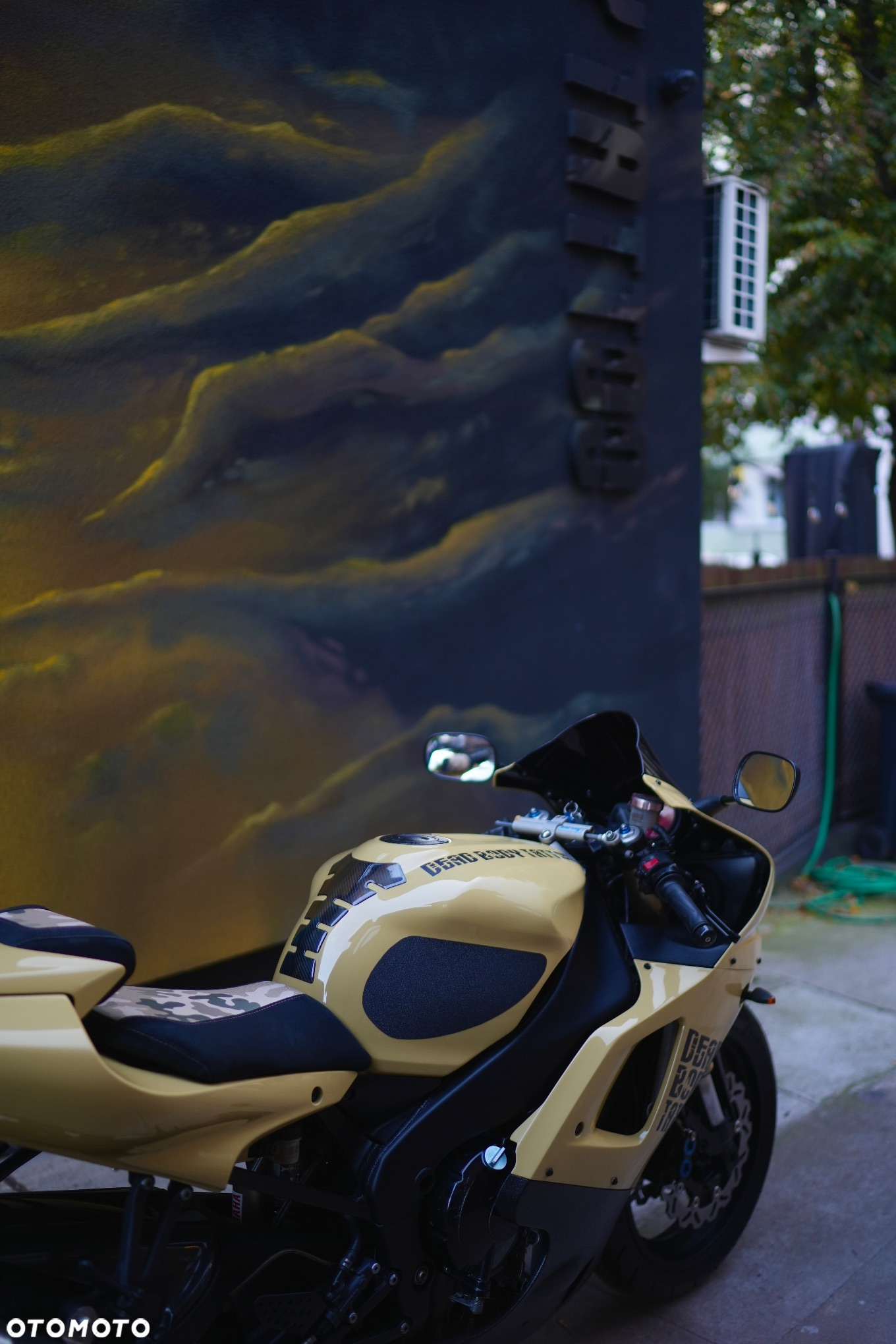 Yamaha YZF - 10