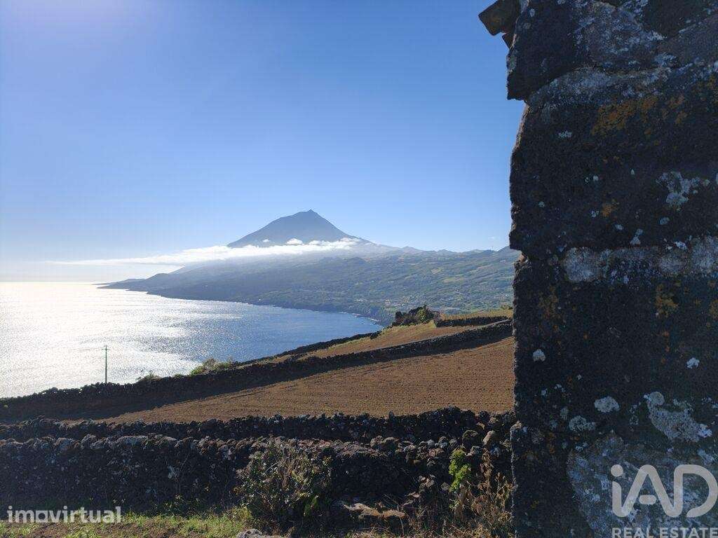 Terreno Agrícola em Lajes do Pico - Grande imagem: 3/21
