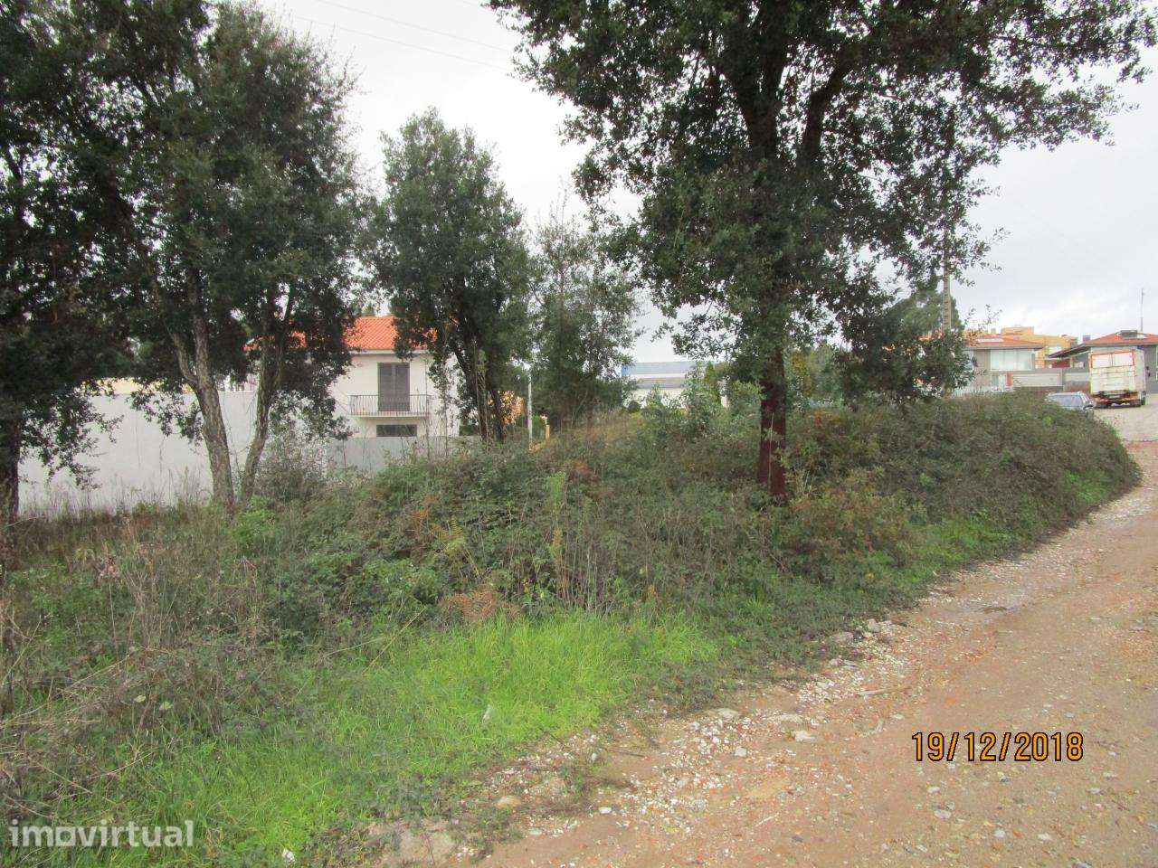 Terreno na zona do Picôto, Nogueira da Regedoura - Grande imagem: 2/3