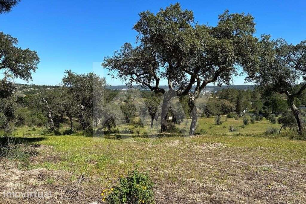 Terreno 5,1ha Montargil - Grande imagem: 3/19