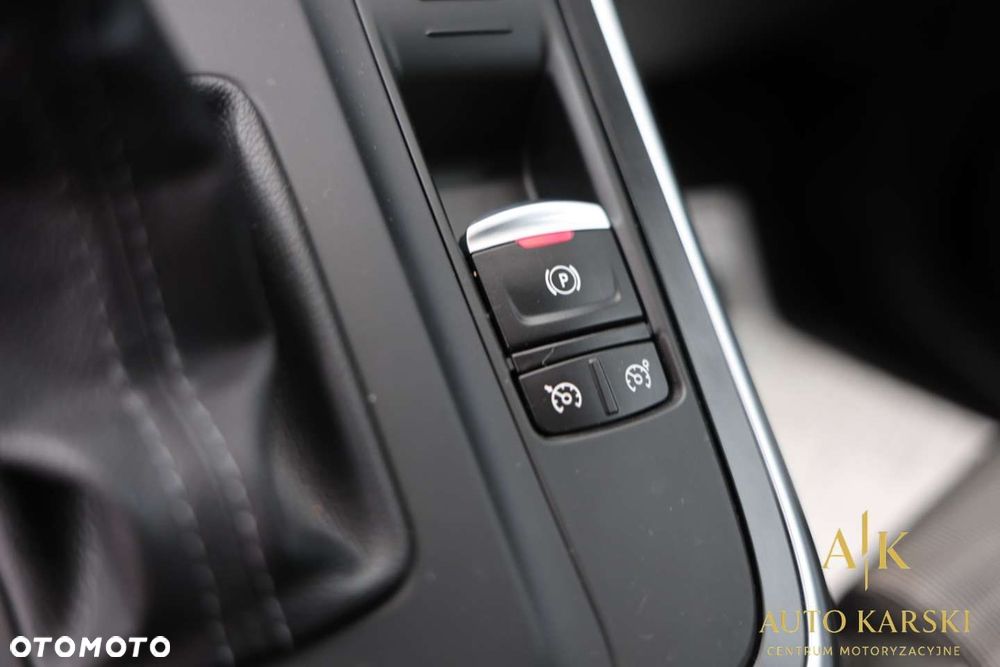 Renault Scenic - 30
