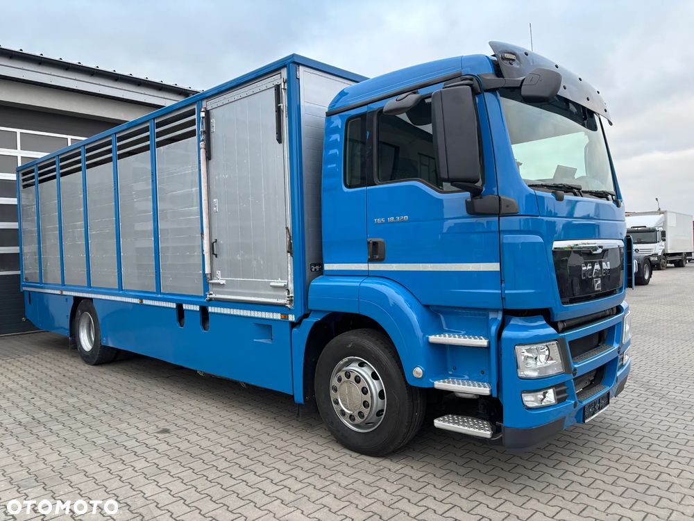 MAN TGS 18.320 2010 rok do przewozu zwierząt , do żywca, do bydła ,zabudowa FINKL z przegordami i wentylatorami , rampa hydrauliczna , z Niemiec - 5