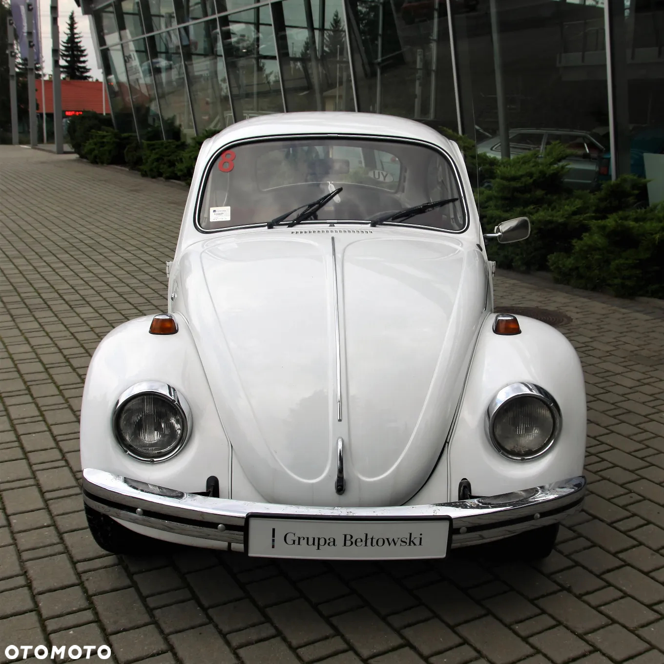 Volkswagen Garbus - 2
