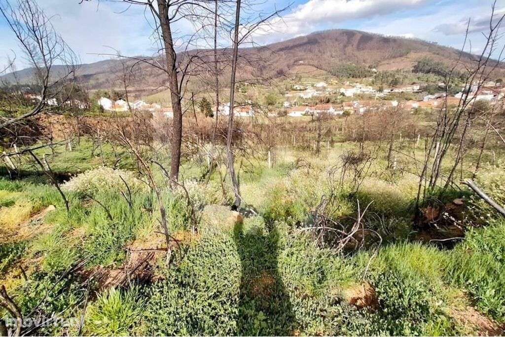 Terreno agrícola, Valhelhas na Serra da Estrela - Grande imagem: 3/15