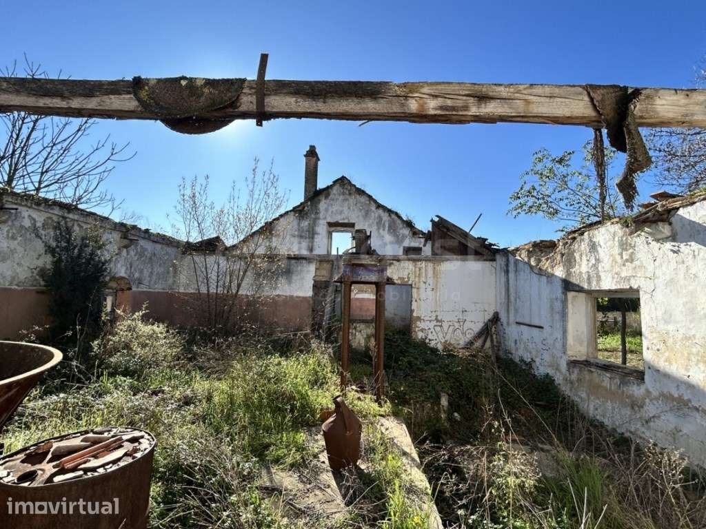 Ruína de Antigo lagar com projeto aprovado e terreno de 16.000 m² -... - Grande imagem: 5/16
