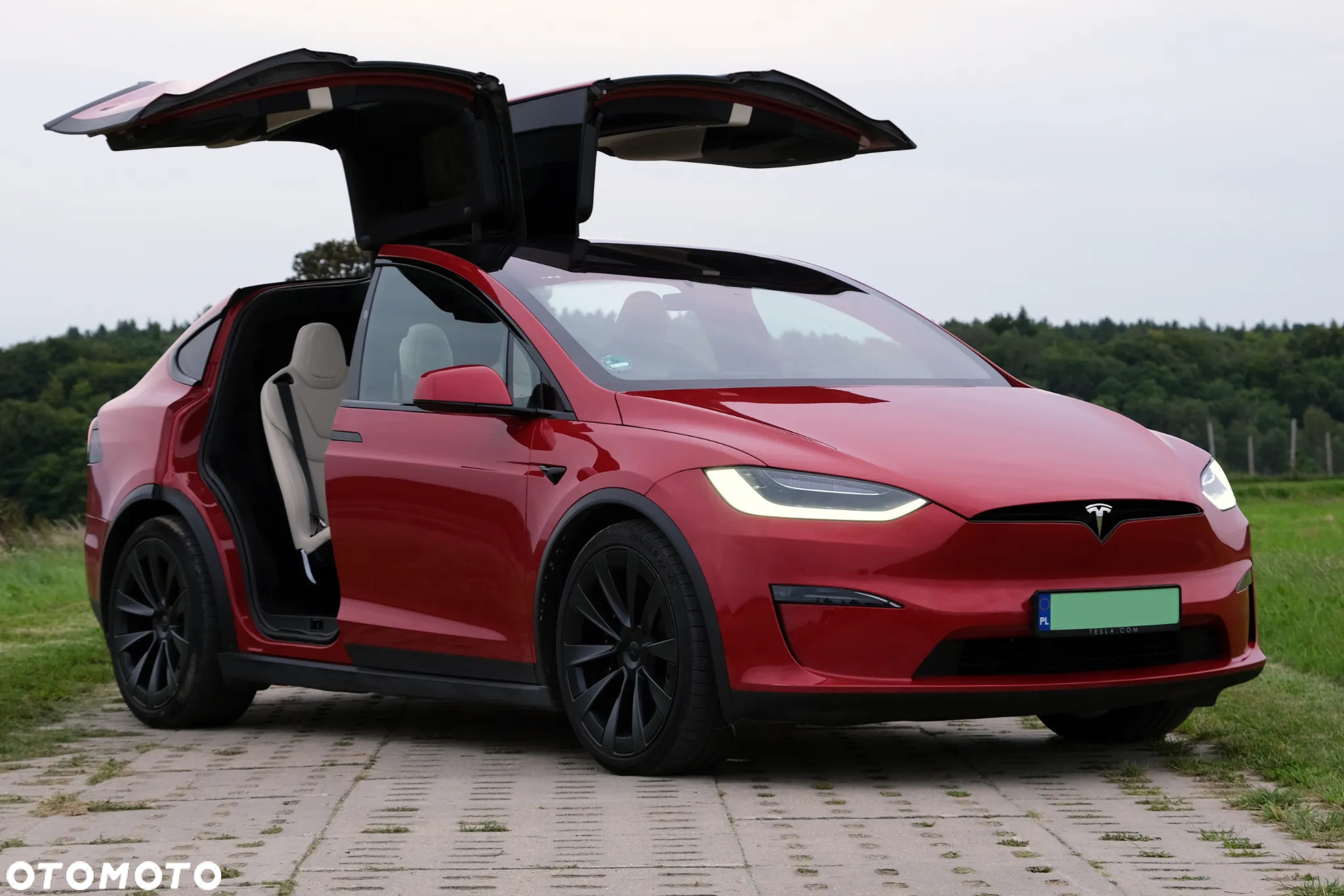 Tesla Model X Plaid - 10