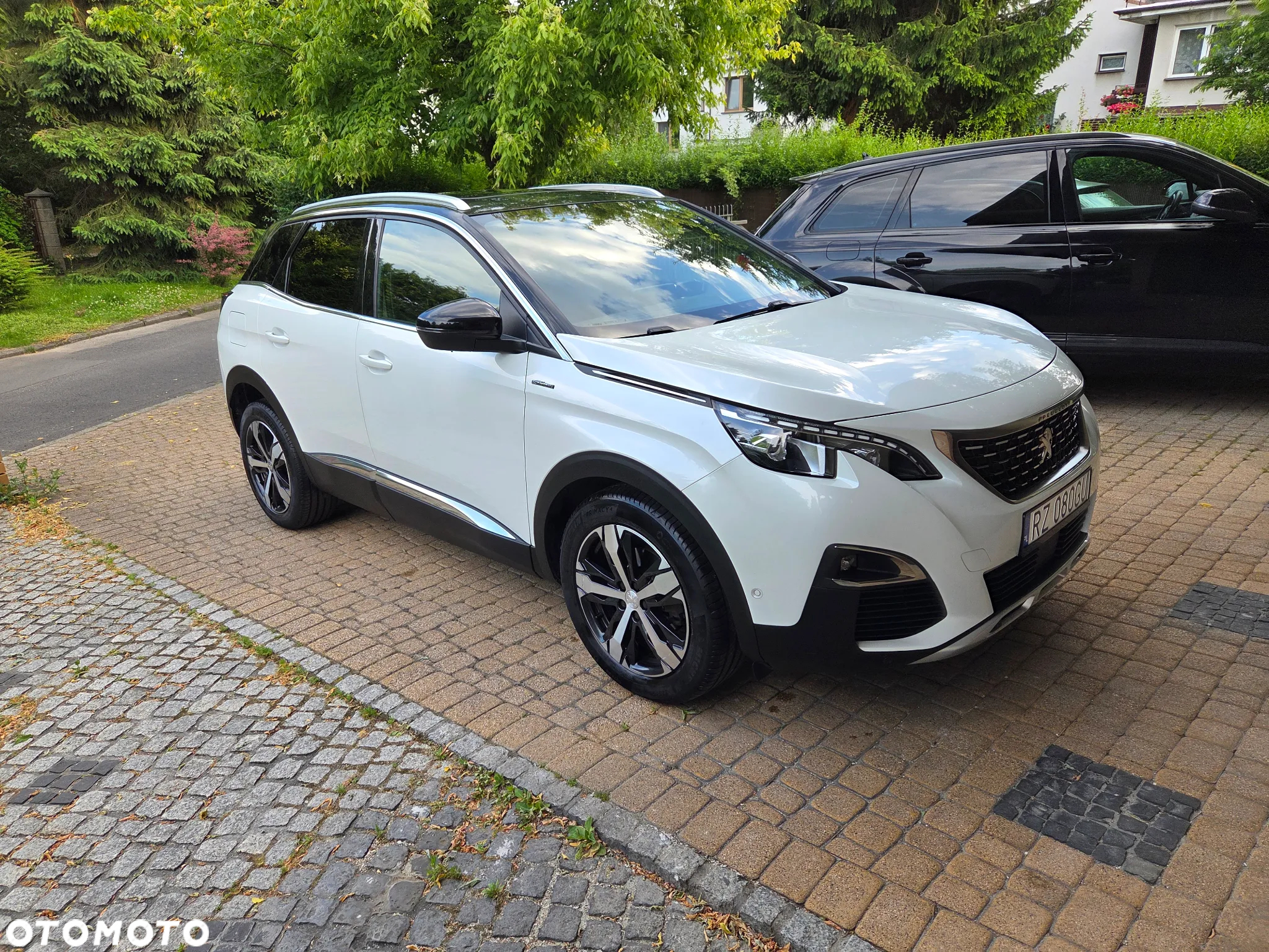 Peugeot 3008 1.5 BlueHDi GT S&S EAT8 - 2