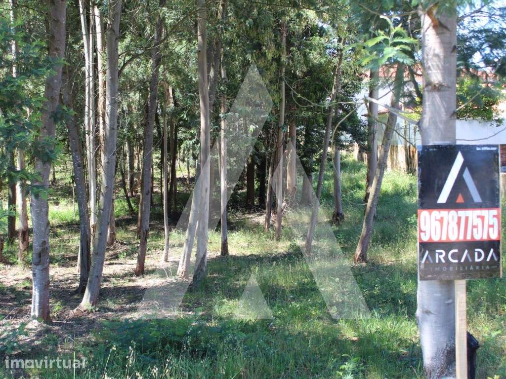 Terreno na Macida para Construção - Grande imagem: 3/6