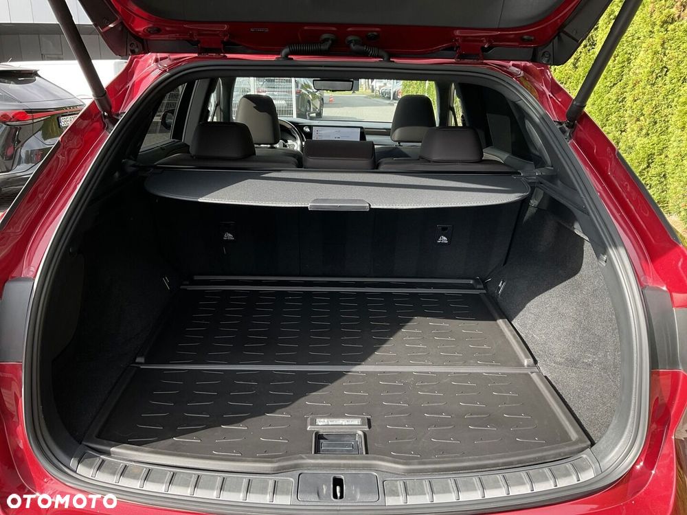 Lexus RX - 39