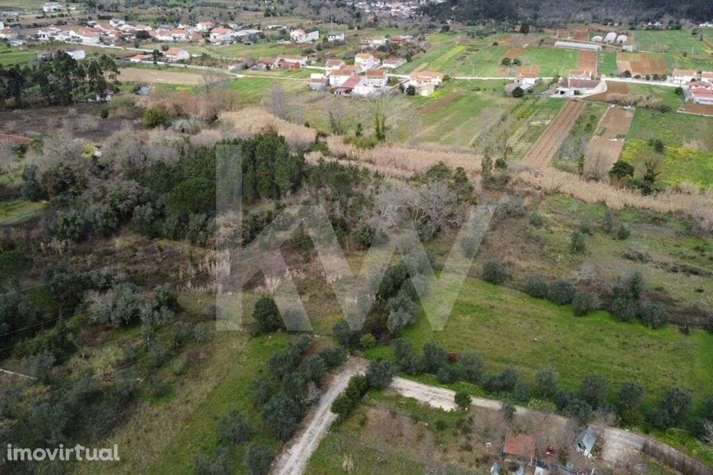 Terreno Rústico com acesso a um Ribeiro, 20.910 m2, Condeixa-a-Nova (Q - Grande imagem: 3/12