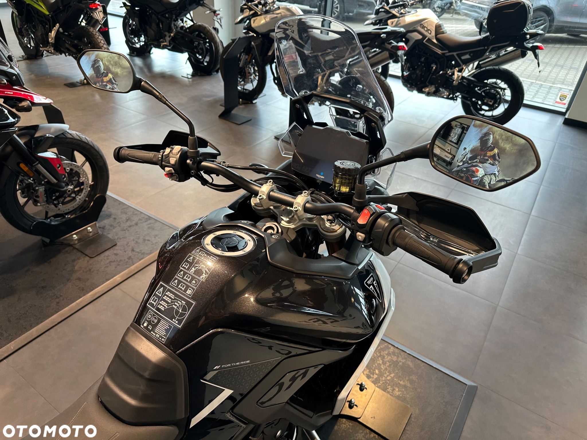 Triumph Tiger - 6