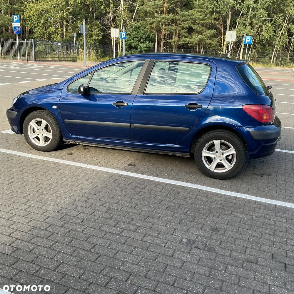 Peugeot 307 110 OXYGO - 15
