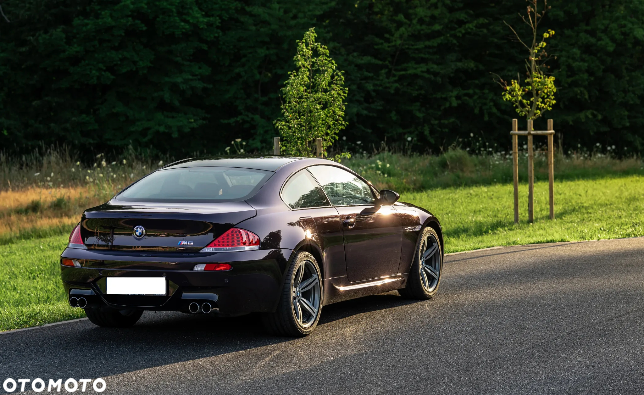 BMW M6 Standard - 3