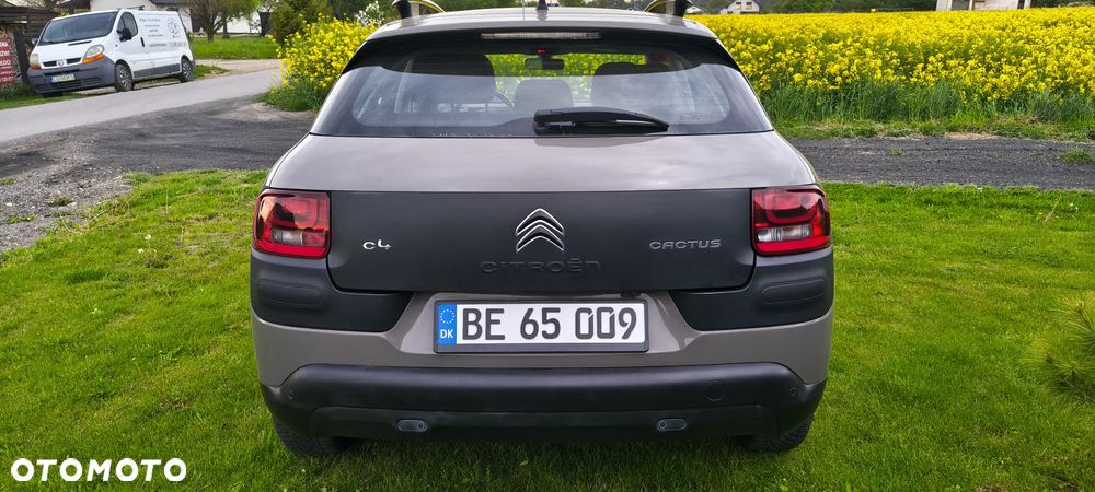 Citroën C4 Cactus BlueHDi 100 Stop&Start Business Class - 19