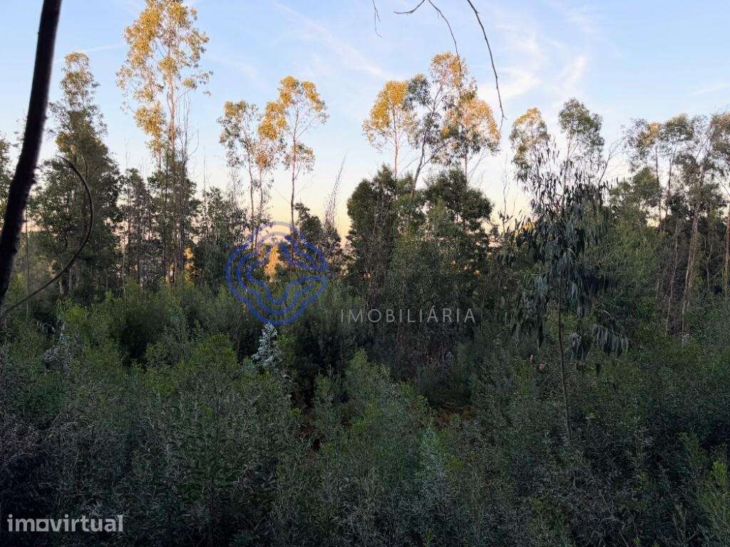 Terreno com 4.950 m2 em Pedroso – Vila Nova de Gaia - Grande imagem: 2/7