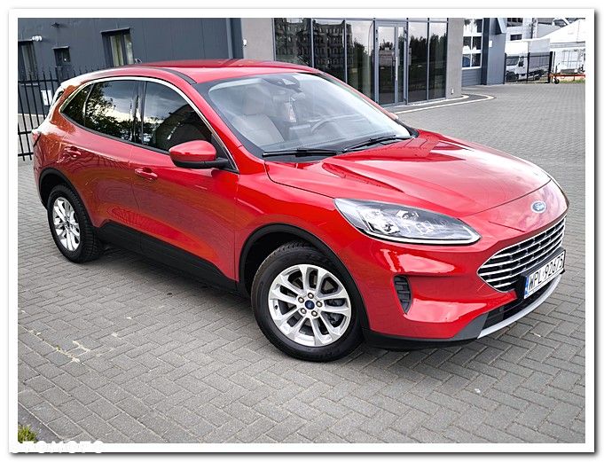 Ford Escape - 10