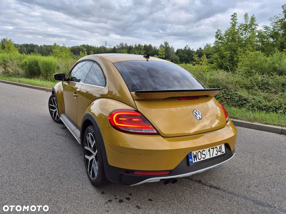Volkswagen Beetle - 8