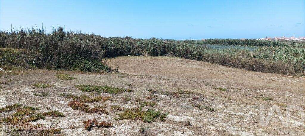 Terreno em Ferrel de 3440,00 m2 - Grande imagem: 5/30