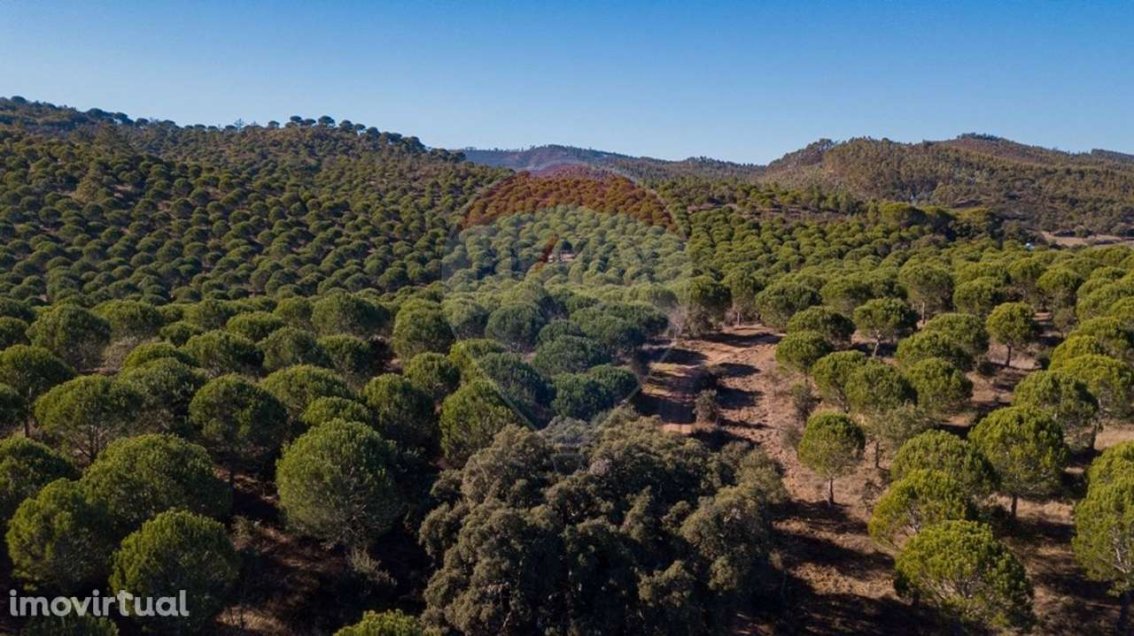 Quinta  para venda - Grande imagem: 2/19