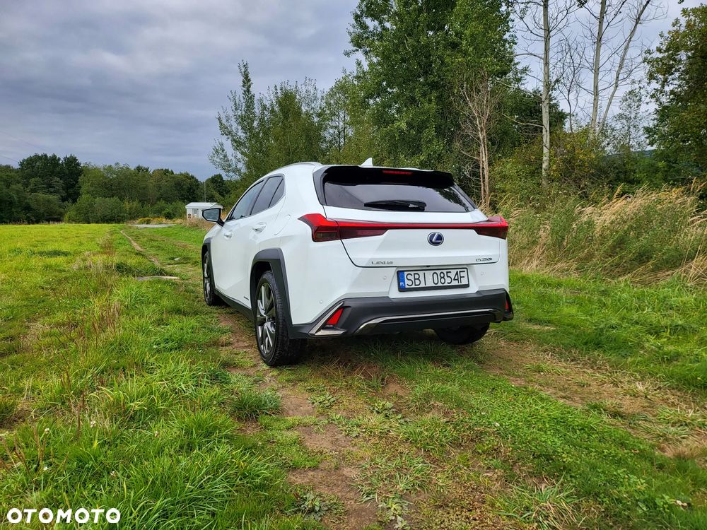 Lexus UX 250h GPF F Sport 2WD - 4
