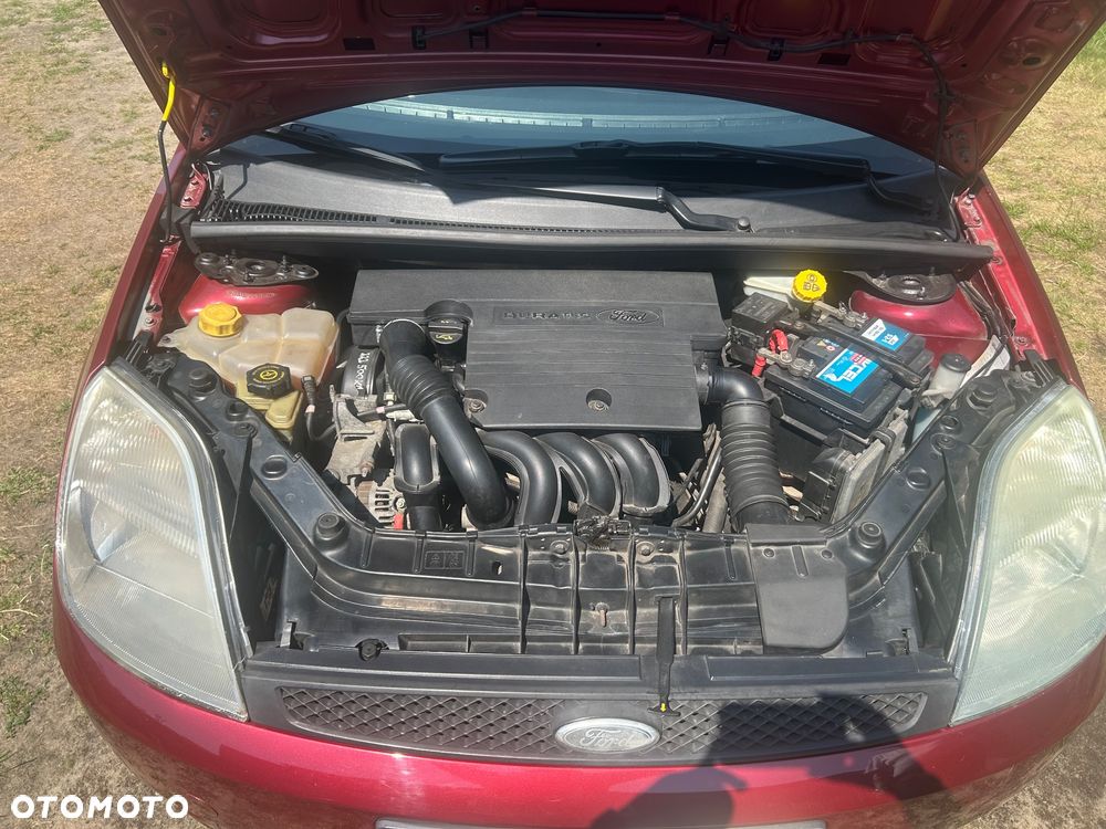 Ford Fiesta - 10